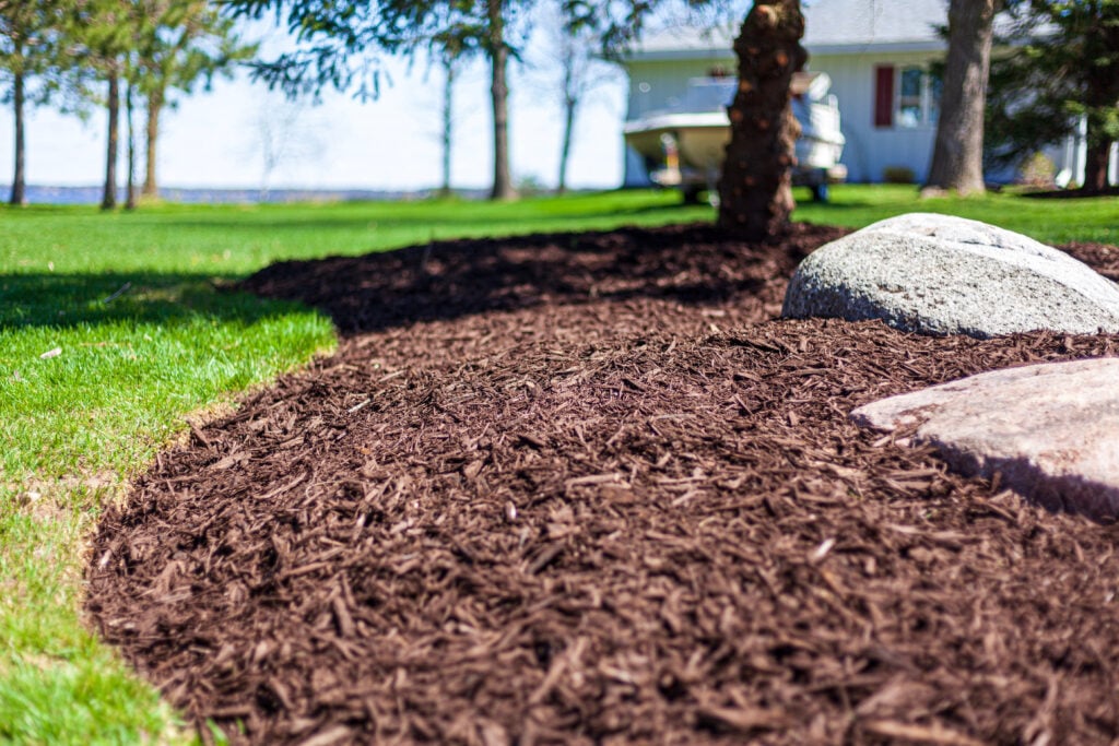 Brown mulch in a landscaped yard