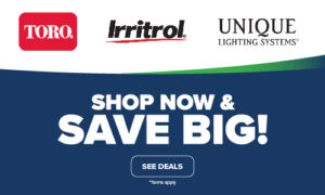 Stone center promotion